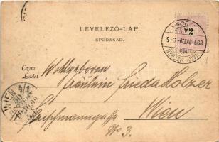 1899 Nagyszeben, Hermannstadt, Sibiu; Látkép 1899 / view in 1899 (EK)