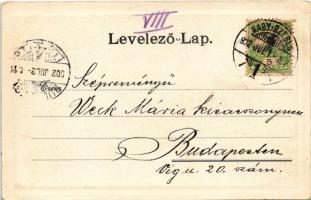 1902 Nagyszeben, Hermannstadt, Sibiu; Kleine Erde mit Musikvereins-Gebäude / utca, zenei egyesület é...