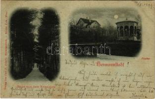 1899 Nagyszeben, Hermannstadt, Sibiu; Erlenpark Musikpavillon / Erlen park és zenepavilon este holdfényben. Carl F. Jickely kiadása / park, music pavilion at night in moonlight (fl)