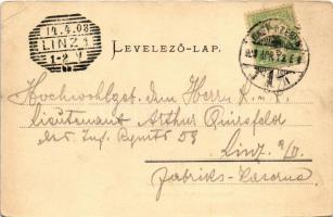 1903 Nagyszeben, Hermannstadt, Sibiu; Stadttheater und Harteneck-Türme / Városi színház és Harteneck...