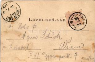 1899 Nagyszeben, Hermannstadt, Sibiu; látkép. G. A. Seraphin kiadása. Lichtdruck v. Jos. Drotleff / ...