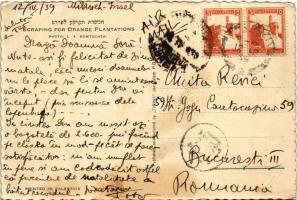 1939 Scraping for orange plantations. Photo L. A. Robitschek. Published and printed by "Tmuna&q...