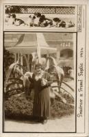 Trencsénteplic fountain photo