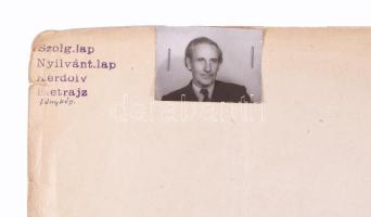 1952 Sárdy Brutus (1892-1970) festőművész és restaurátor szakember bizalmas személyi nyilvántartó la...