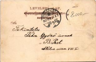 1903 Bocsár, Bocar; Görögkeleti (ortodox) templom, vasútállomás, gőzmozdony, vonat, Baich kastély / ...