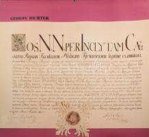 1972 Richter Gedeon falinaptár orvostörténeti érdekességekkel, facsimile oklevelekkel illusztrálva, ...