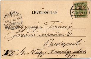 1902 Arad, Salacz park. Bloch H. kiadása / park (EB)