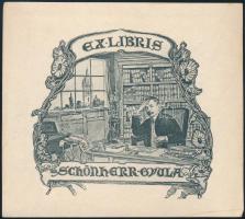 Balczer, György (1880 - 1956): Ex libris Schönherr Gyula (szecessziós könyvjegy). Klisényomat, papír, jelzés nélkül, 7,5×8 cm