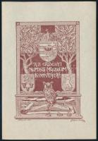Förstner Tivadar (1878-1935): Az Erdélyi Nemzeti Múzeum Könyvtáráé, Kolozsvár, 1904 (szecessziós, címeres ex libris). Klisényomat, papír, jelzett a nyomaton. 10x7 cm