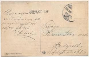 1909 Nagykároly, Carei; Városi színház. Eigner Simon kiadása / theatre (ázott / wet damage)