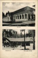 Borszék, Borsec; Charitas, Kossuth kút / spa, mineral spring well (fl)