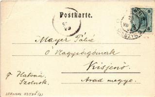 1901 Cieszyn, Teschen; Oberring, Schubert-Monument. Hutterer's Postkartenverlag / street view, ...
