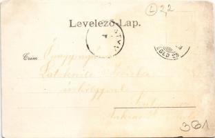 Gombos, Bogojeva, Bogojevo; Gőzkomp Gombos és Erdőd között a szabad Dunán, gőzmozdony, vonat. Schön ...