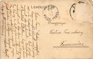 Lupény, Lupeni; Kórház. Adler fényirda (Szászváros) 1908. / hospital (Rb)