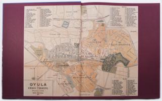 Bagyinszki Zoltán - D. Nagy András: Gyula. Régen és ma. / Früher und Heute. I. köt. Gyula, 2003, Gyu...