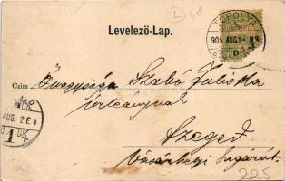 1904 Topolya, Bácstopolya, Bács-Topolya, Backa Topola; utca. Özv. Novák Károlyné kiadása / street vi...