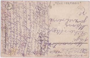 Tőketerebes, Trebisov; Gróf Andrássy kastély a parkkal. Vasúti levelezőlapárusítás 7410. / castle, p...