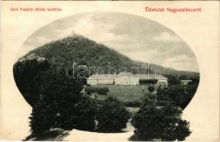 Nagyszalánc, Nagy-Szaláncz, Szalánc, Salanc, Slanec (Kassa); Forgách kastély és várrom. Fogyasztási szövetkezet kiadása / castle and castle ruins (Rb)