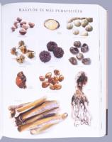 Larousse gasztronómiai lexikon. Főszerk.: Colette Hanicotte. Joel Robuchon, a Gasztronómiai Bizottsá...