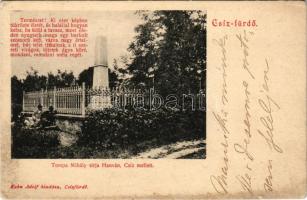 1907 Hanva, Hamva, Chanava (Csíz, Cíz); Tompa Mihály sírja. Kohn Adolf kiadása / tomb of Mihály Tompa (kis szakadás / small tear)