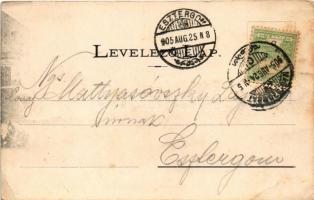 1905 Nagyszombat, Tyrnau, Trnava; Ferenc József tér, Szentháromság szobor, piac, üzletek / square, H...