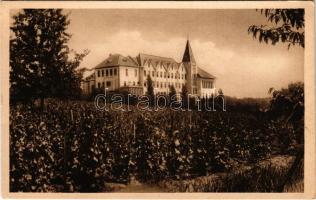 Léva, Levice; Állami tanítóképző, szőlő. Schulcz kiadása / teachers' training institute, vineyards (EK)