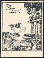 Tichy Gyula (1879-1920): Ex libris. Nyomat, papír, jelzett a nyomaton, 8,5x7 cm