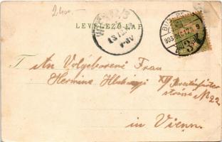 1903 Budapest VII. Rottenbiller utca, Központi szálloda és kávéház, Havasy Ferenc üzlete, megpakolt ...