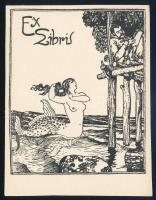 Tichy Gyula (1879-1920): Ex libris. Nyomat, papír, jelzett a nyomaton, 8,5x7 cm