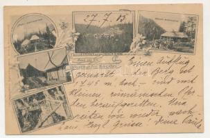 1903 Szebenjuharos, Hohe Rinne, Paltinis; Grüss aus den Siebenbürgischen Karpathen! Negoi-Schutzhütten, Kurhaus auf der Hohen Rinne (Paltinis), Bullea-Schutzhütte, Presbe-Schutz, Drachensteig. Siebenbürgischer Karpathenverein Section Hermannstadt / Üdvözlet az Erdélyi Kárpátokból! Szebenjuharos, Negoj, Bólya menedékházak, gyógyházak. Az Erdélyi Kárpát Egyesület Nagyszebeni részlegének kiadása / spa, rest houses, mountain huts in the Transylvanian Carpathians. Art Nouveau, floral (szakadás / tear)
