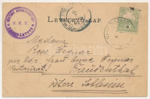 1903 Szebenjuharos, Hohe Rinne, Paltinis; Grüss aus den Siebenbürgischen Karpathen! Negoi-Schutzhütt...