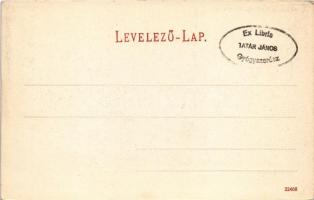 Borszék, Borsec; Székház / Ortsamt / villa + "Ex Libris Tatár János gyógyszerész"