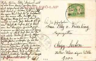 1906 Vajdahunyad, Hunedoara; vár. Wachter József kiadása / castle (Rb)