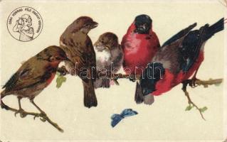 Birds litho (EK)