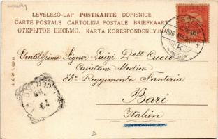 1906 Osztrák-magyar tüzérség gyakorlata / K.u.k. military, artillery field practice. Fec. Ch. Scolik...