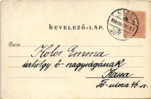 1899 Boldog Újévet! Üdvözlőlap malaccal, lóherével és pénzes zsákkal. No. 6624. / New Year greeting ...