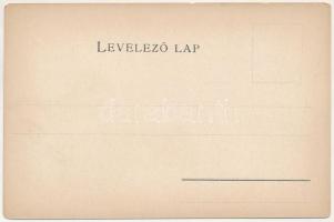 Arad vármegye térképe. Károlyi Gy. kiadása / map of Arad County (EM)