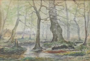 Szv jelzéssel: Erdőbelső, 1916. Akvarell, papír. Dekoratív, üvegezett fakeretben. 15x20 cm.