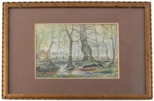 Szv jelzéssel: Erdőbelső, 1916. Akvarell, papír. Dekoratív, üvegezett fakeretben. 15x20 cm