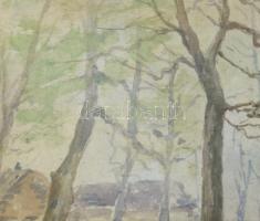 Szv jelzéssel: Erdőbelső, 1916. Akvarell, papír. Dekoratív, üvegezett fakeretben. 15x20 cm