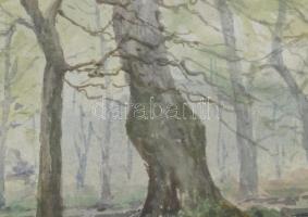 Szv jelzéssel: Erdőbelső, 1916. Akvarell, papír. Dekoratív, üvegezett fakeretben. 15x20 cm