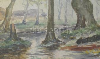 Szv jelzéssel: Erdőbelső, 1916. Akvarell, papír. Dekoratív, üvegezett fakeretben. 15x20 cm