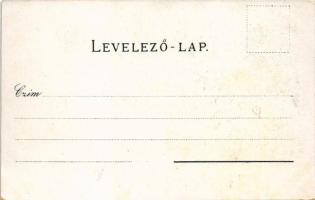 Kecskemét, látkép, zsinagóga, színház, új városháza, nagytemplom, Katona József szobra. Steiner Mihá...