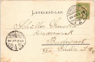 1904 Szombathely, Szent István park, szökőkút. Özv. Fekete Istvánné kiadása (kis szakadás / small te...