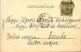 1905 Szob, részlet a Dunáról. Hegedüs Lajos kiadása. A képeslap címzettje Ábránfalvi Ugron Sarolta (...
