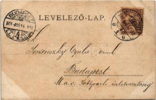 1901 Szombathely (?), vízpart. photo (fl)