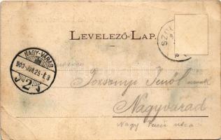 1900 Szolnok, részlet a református templommal. Szigeti H. udvari fényképész (EB)