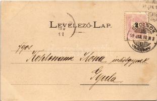 1899 Szolnok, részlet, látkép, megyei Kaszinó, Szabadság honfi-szobor. Kiadja Szigeti H. udvari fény...