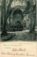 1899 Tata, Tata-Tóváros; Park, római templom romjai (EK)