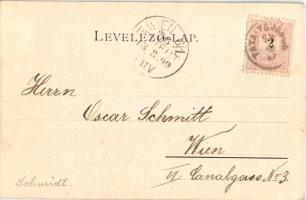 1899 Tata, Tata-Tóváros; Park, római templom romjai (EK)